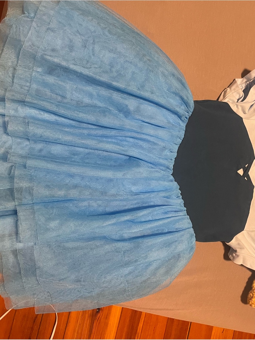 Taylor Joelle little mermaid Ariel dress
